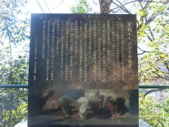 �g���R�b�g�̗��j��